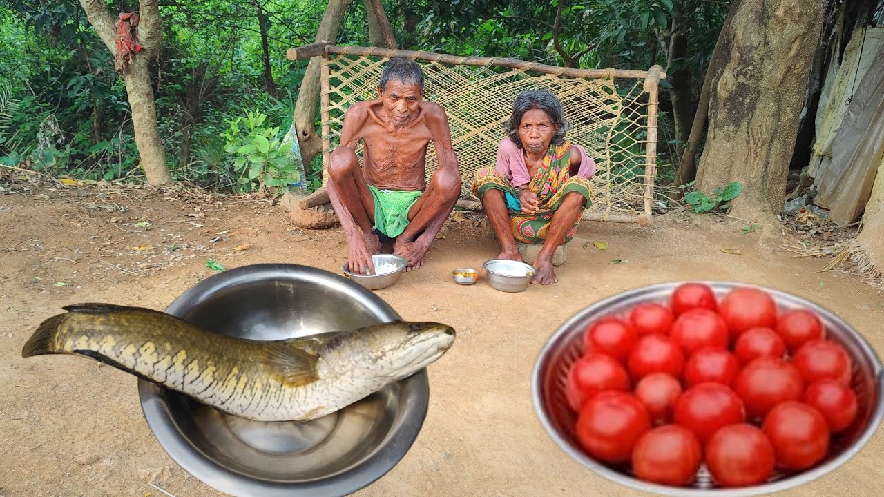 old TRIBE grandma & grandpa lifestyle || old grandma cooking SHOL FISH with TOMATO CURRY and eating 