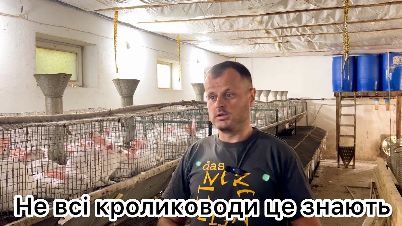 Який комбікорм підійде Вашим кроликам❓ Особливості рецептів