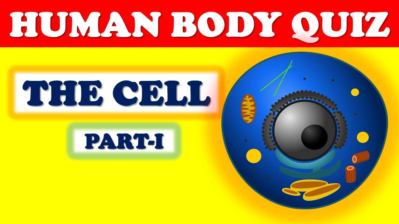 How much knowledge do you have about human cell? #generalknowledge #quiz 