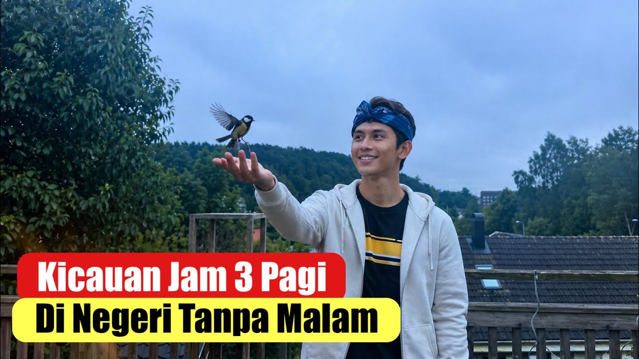 Suasana Jam 3 Pagi Dengan Kicauan Burung di Negara Tanpa Malam #vlog  #fakta #wni #swedia