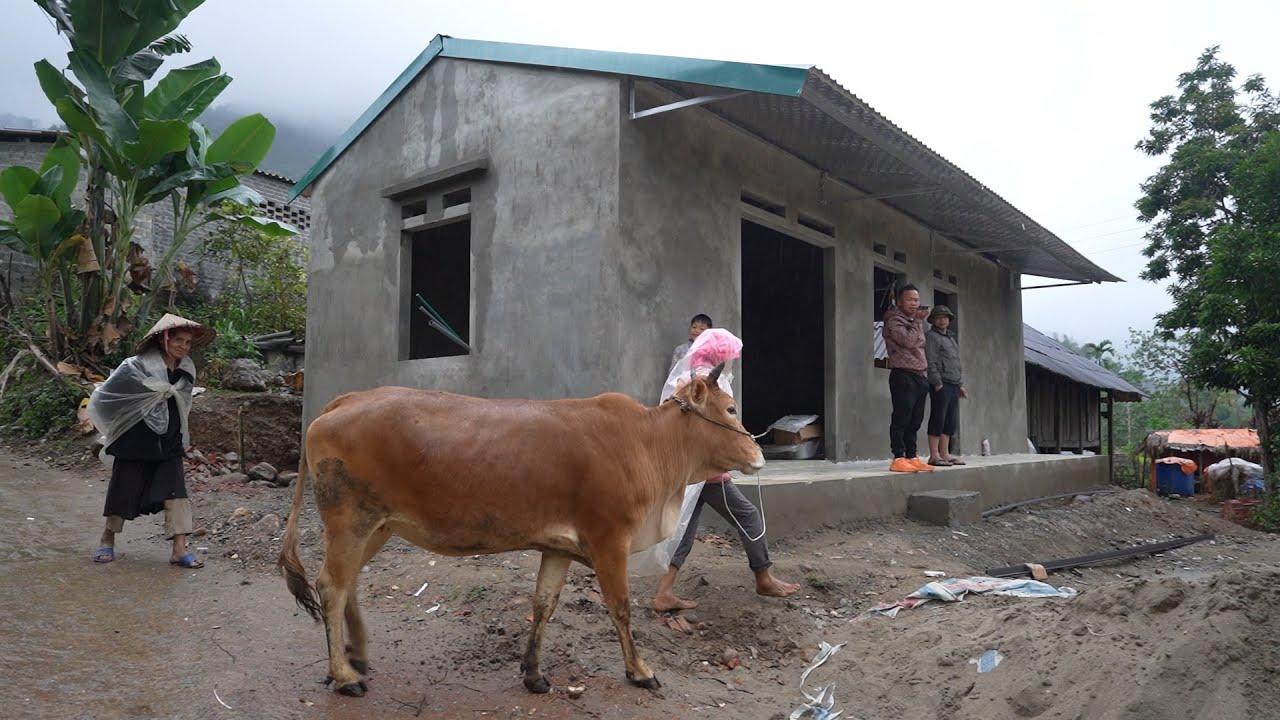 Chị em Đôi Sai ( T 14 )| Thợ đã xây xong mua đồ điện nước vào - A Quỳnh đang làm cửa cấp tốc