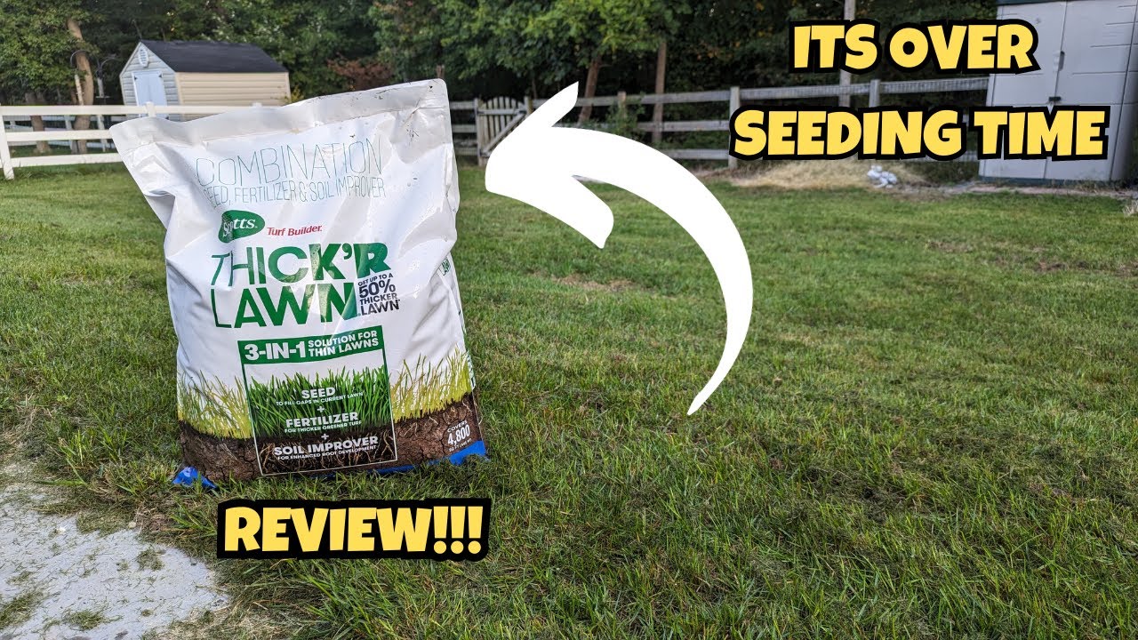 ОБЗОР семян травы Scotts Turf Builder THICK'R LAWN!