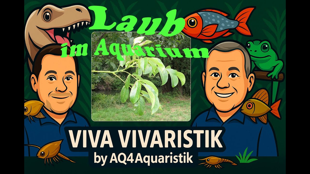 Viva Vivaristik – Folge 31: Laub im Aquarium 🍂 Walnuss, Eiche, Buche und Co. – Pflege, Futter & Deko
