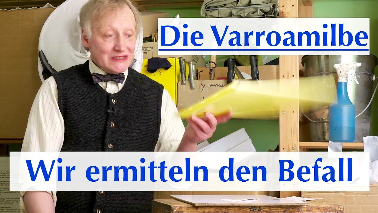 Varroamilben-Befall sicher ermitteln (und einschätzen)
