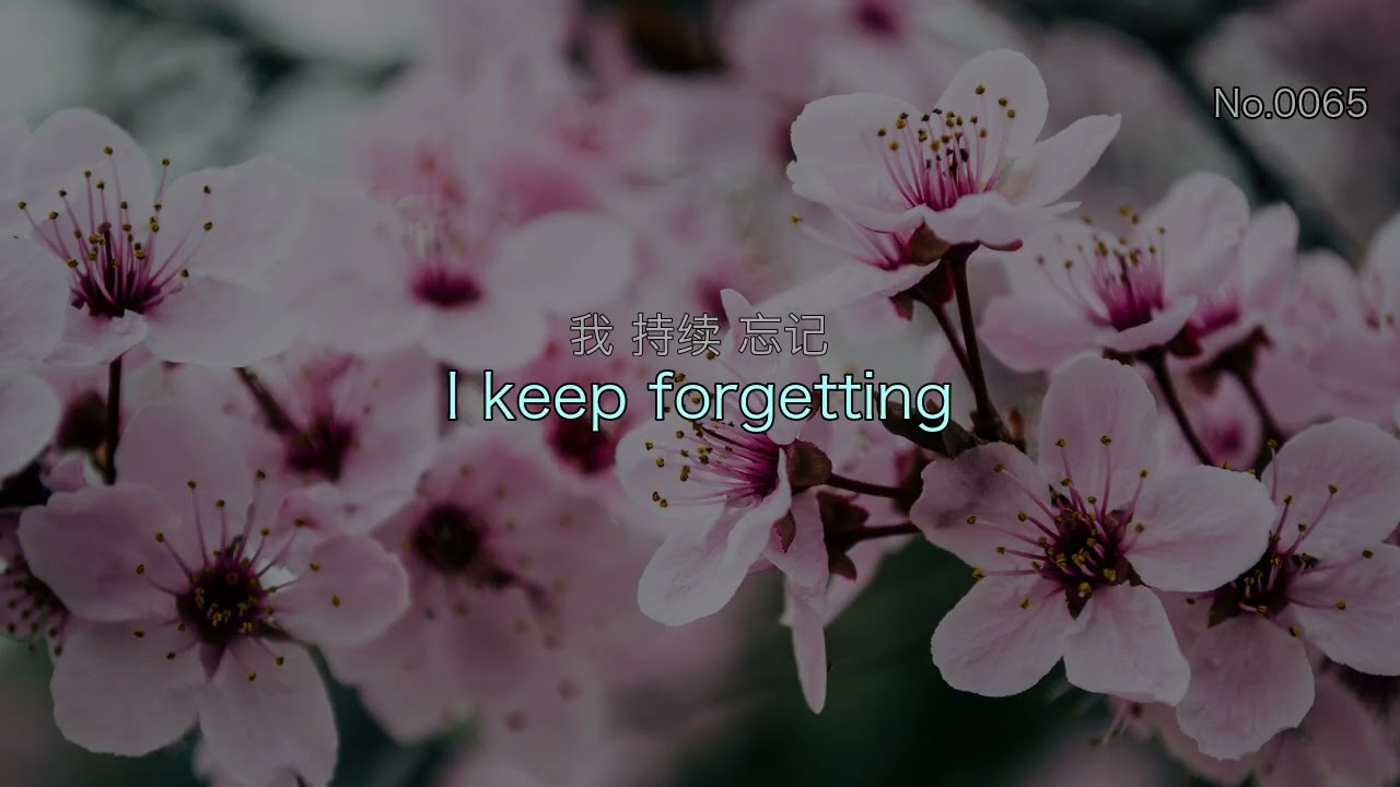 0065 日常英語聽力營十句 | Did you remember