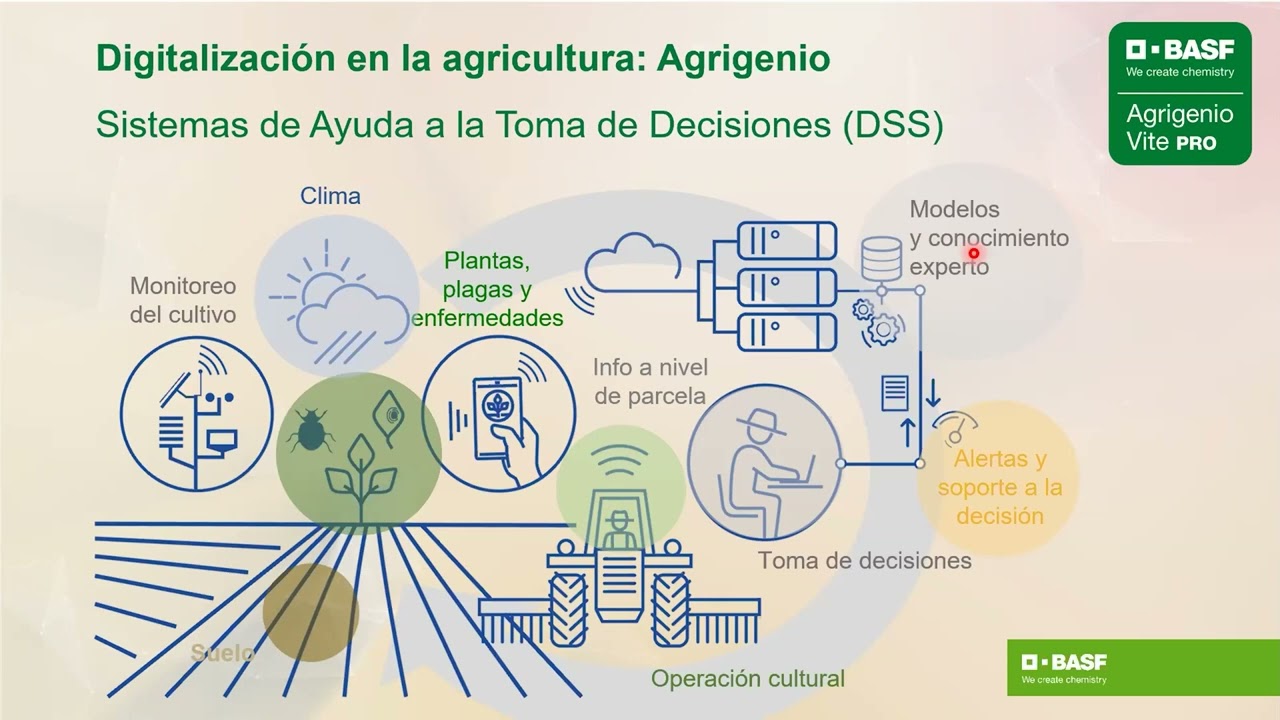 La estrategia de sostenibilidad y agricultura de precisi&oacute;n en vi&ntilde;edo de BASF:   Agrigenio Vite