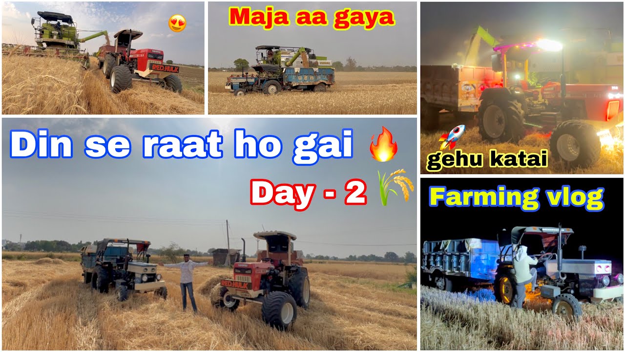 Aaj to Din se raat ho gai 😎 ! Day - 2 🌾 gehun ki katai 💙 ! Patel farming