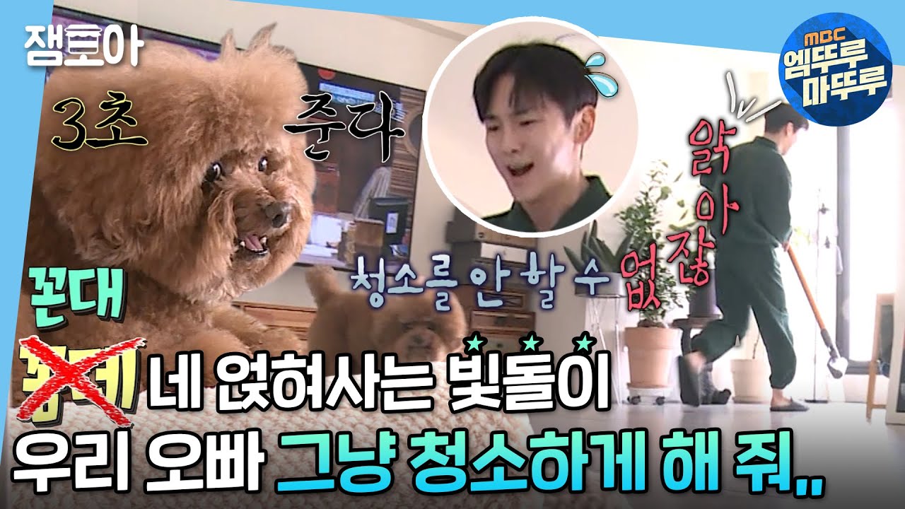 [나 혼자 산다] 꼼데와 키의 숨 막히는 동거,,💖 밀당천재 강아지와 사는 법 (feat. 샤월 편집자도 따라하는 도자key 피부 관리법)| #엠뚜루마뚜루 MBC210319방송