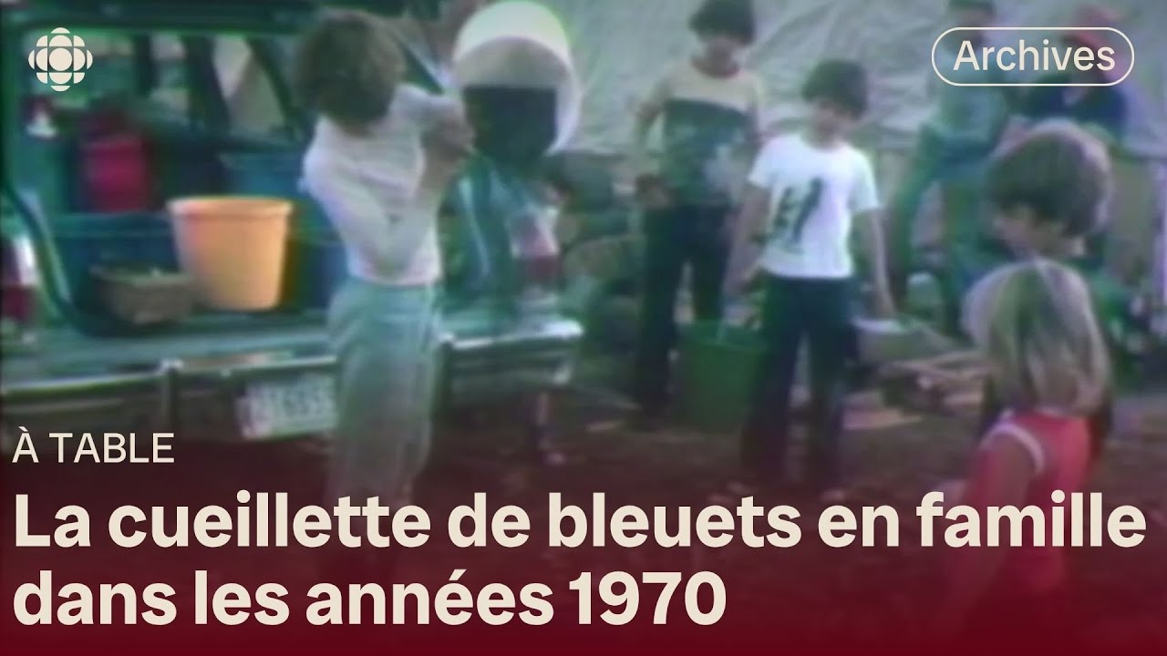 Une famille de cueilleurs de bleuets en 1977
