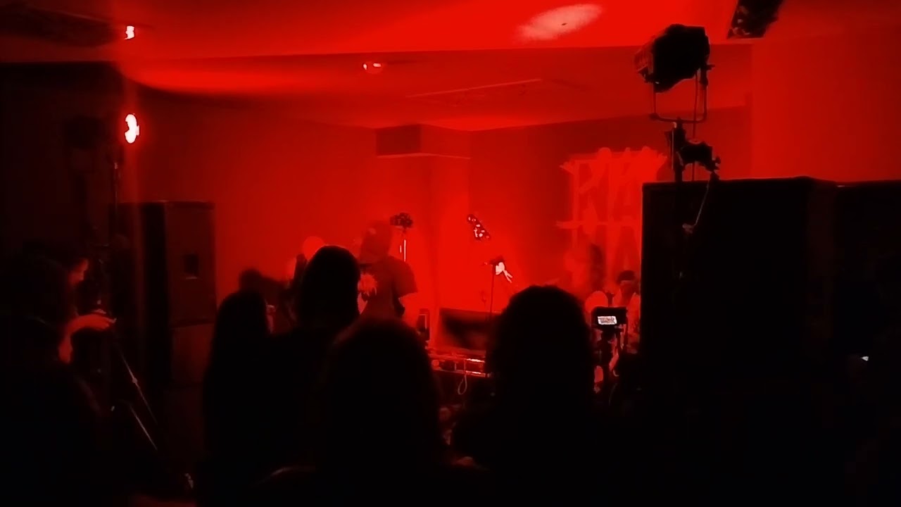 Final dose live at akc nama slovenia 2026