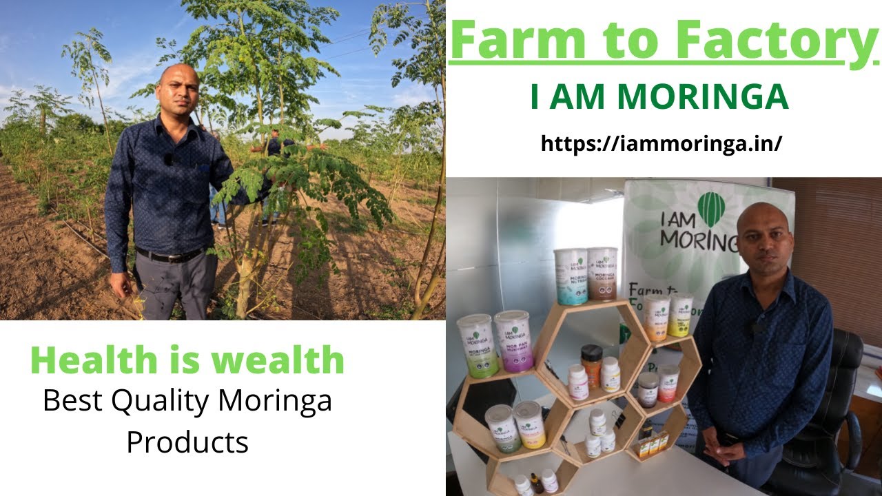 How This company making export quality Moringa products?