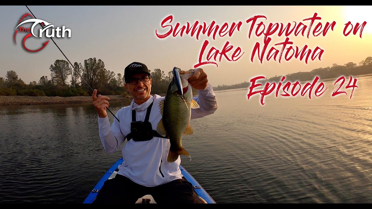 Summer Top Water Bass Fishing on Lake Natoma