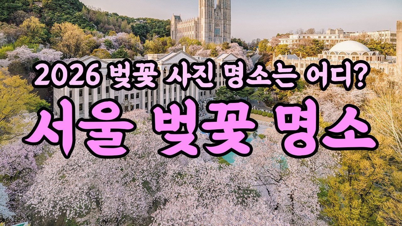 사진작가가 고른 서울 벚꽃 명소 8곳, 올해 벚꽃 구경 여기로 가보세요!