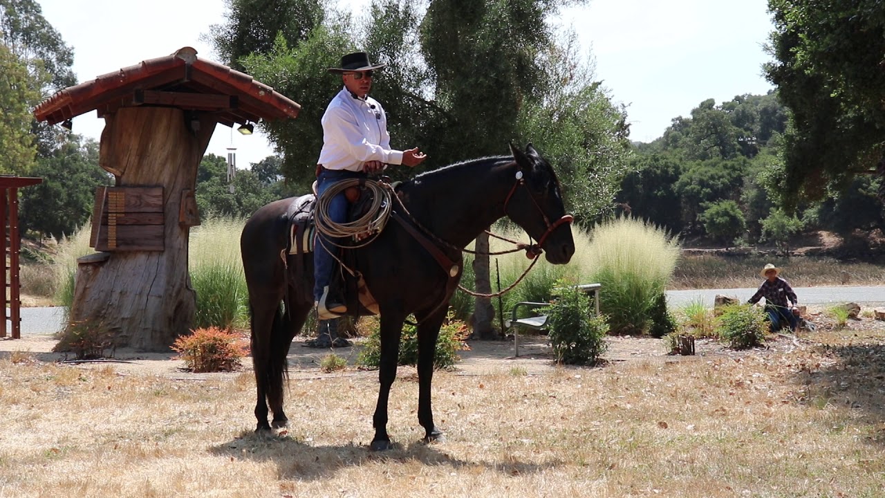 Vaquero Heritage Days 2018 Jeff Derby