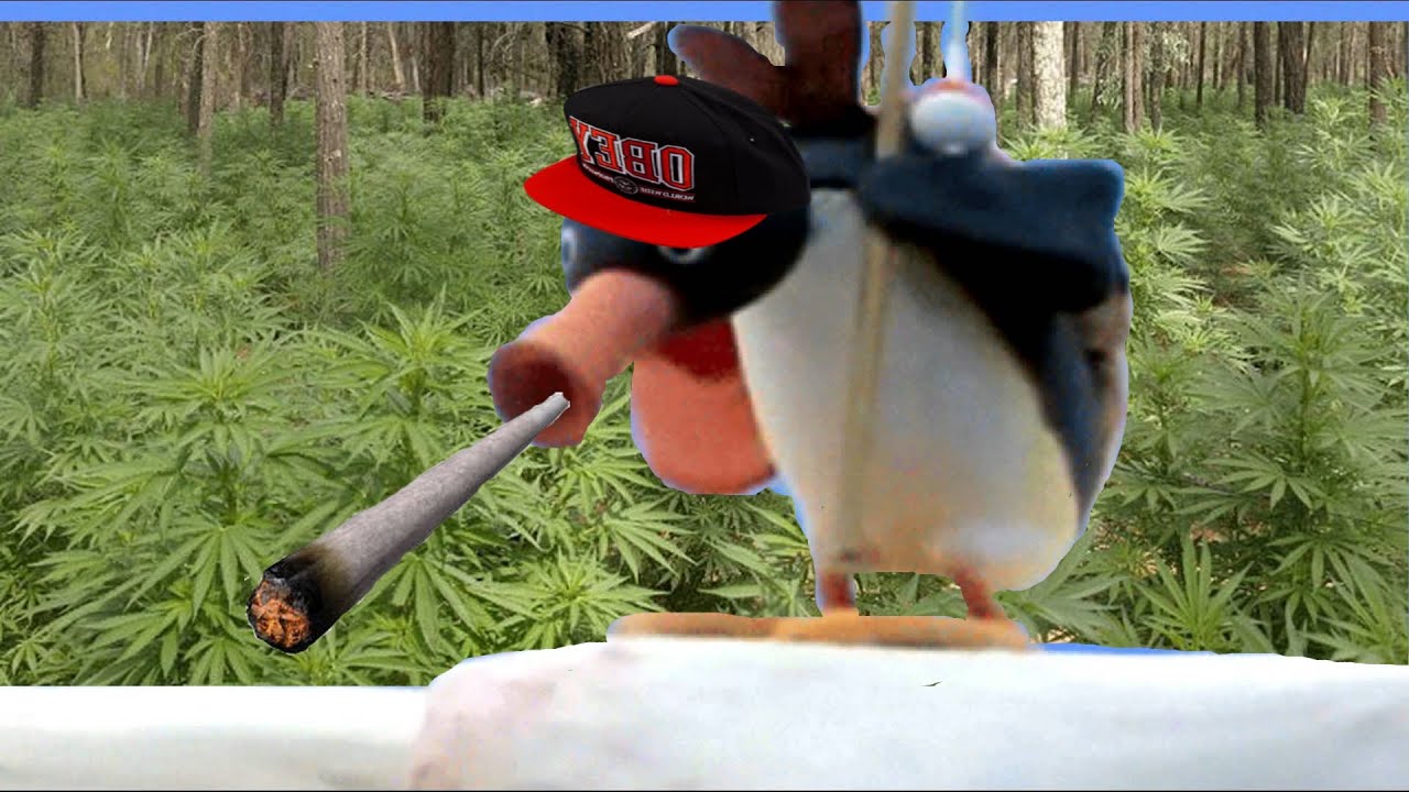 Pingu's dank kush