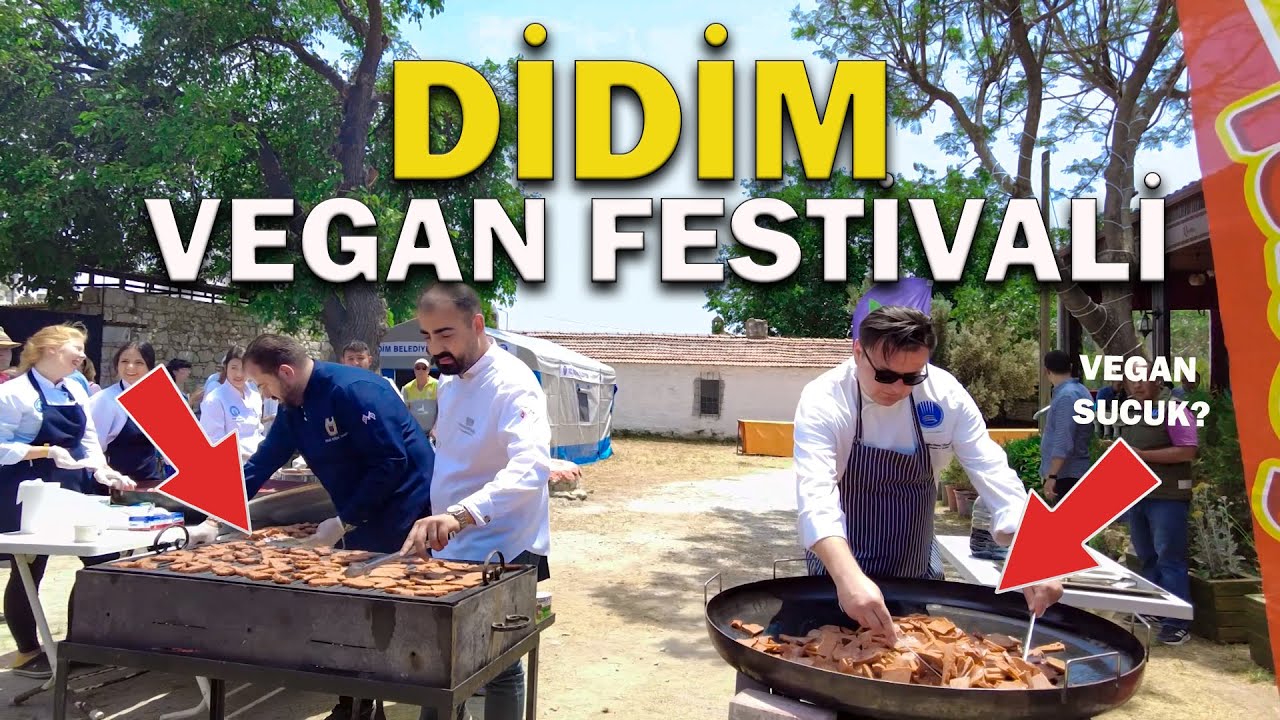 didim vegan festival'inde yürüyorum