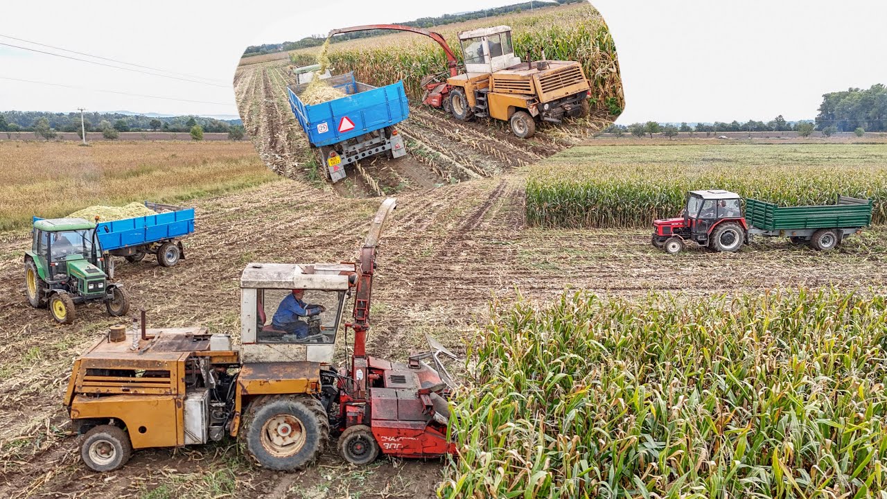 Sil&aacute;že kukuřice u soukromn&iacute;ka 2025 |Toron SPS-35 + Kemper Champion |Zetor 7211 & John Deere 2300
