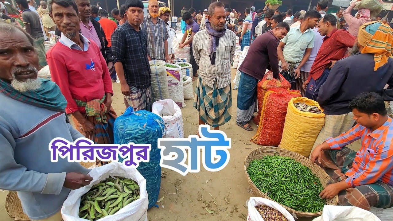 Village vegetable market |Pirijpur Bazar |Bajitpur Kishoreganj |গ্রামীণ কৃষকদের পাইকারী সবজির বাজার|