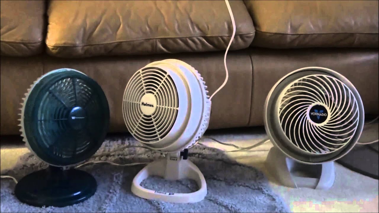 Darren's favorite fans from his collection