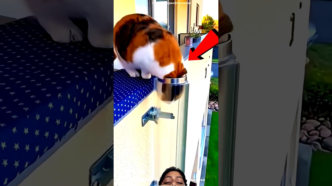 #foryou #funny #ytstudioes #animals #cute