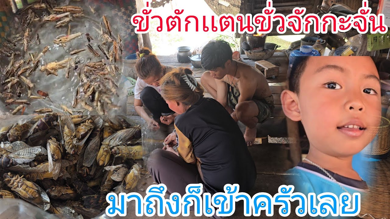 #มาถึงก็เข้าครัวทำกับข้าวสู่แม่กินกินหมายปีเเมงจักกะจั่นขั่วตักเเตนมืดฟ้ามืดฝน