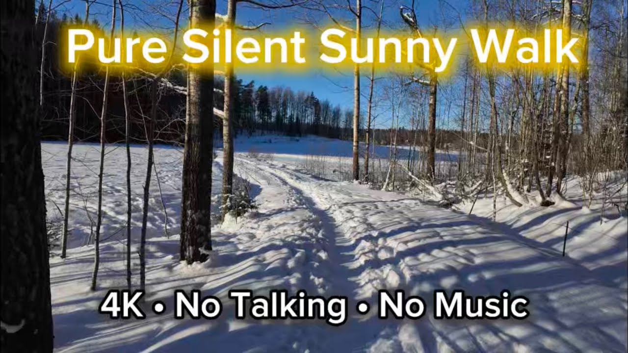 Pure Silent Sunny Winter Walk 4K | No Talking, No Music ❄️☀️