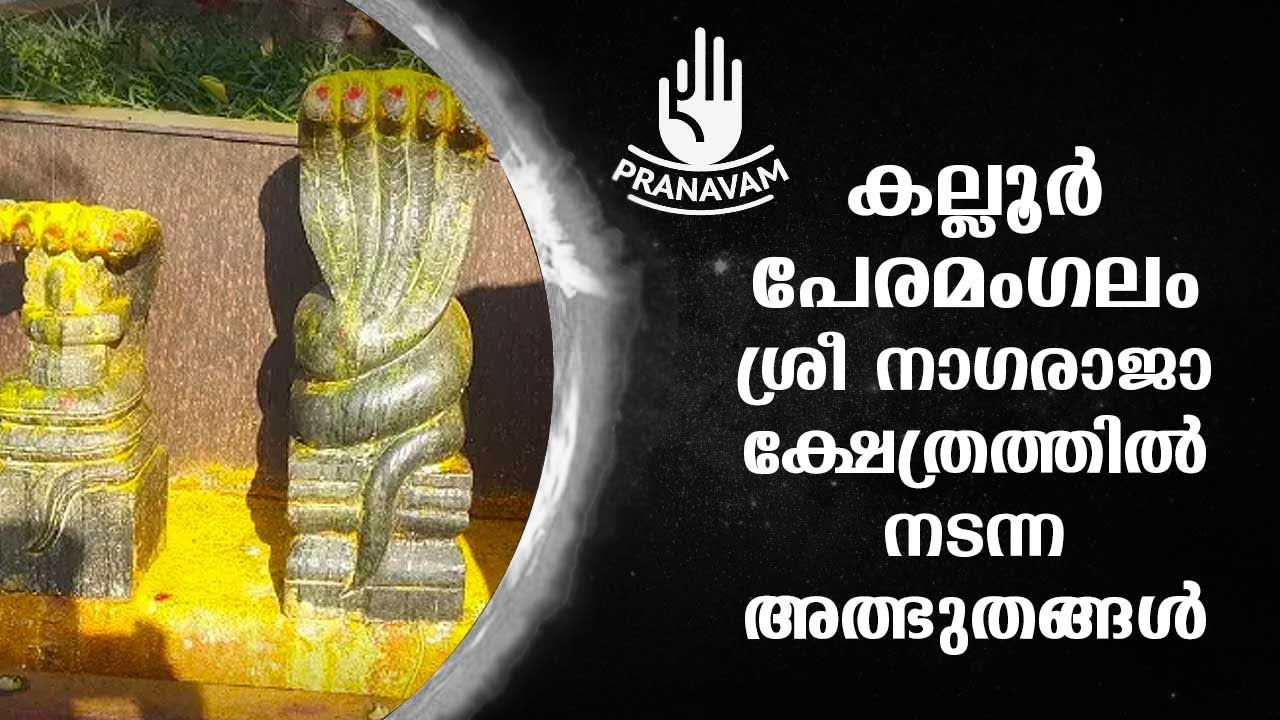 കല്ലൂർ പേരമംഗലം ശ്രീ നാഗരാജാ ക്ഷേത്രത്തിൽ നടന്ന അത്ഭുതങ്ങൾ | Subhash Tantri | Pranavam