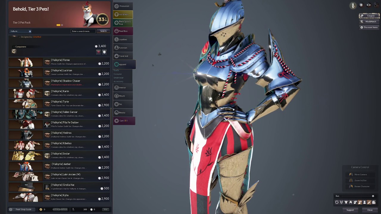 Black Desert Online Female Armor Accuracy