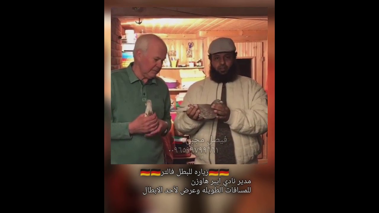 زاجل  مسافه طويلة💪