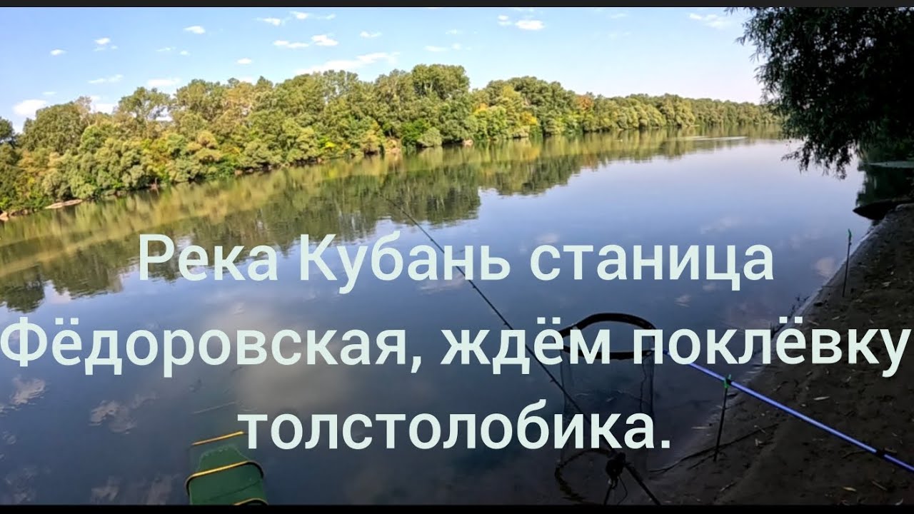 Река Кубань станица Фёдоровская ждём поклёвку толстолобика.