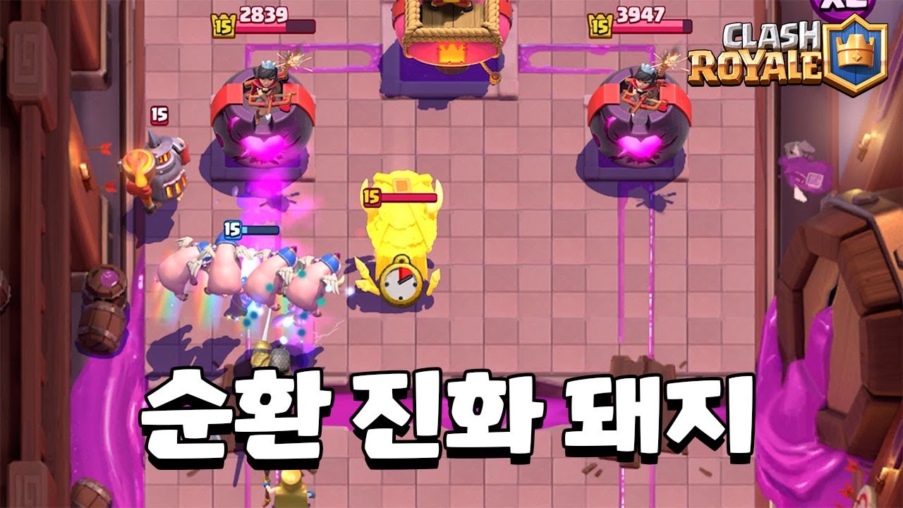 진화 돼지 많이 뽑는 게임~ [클래시로얄] [June]