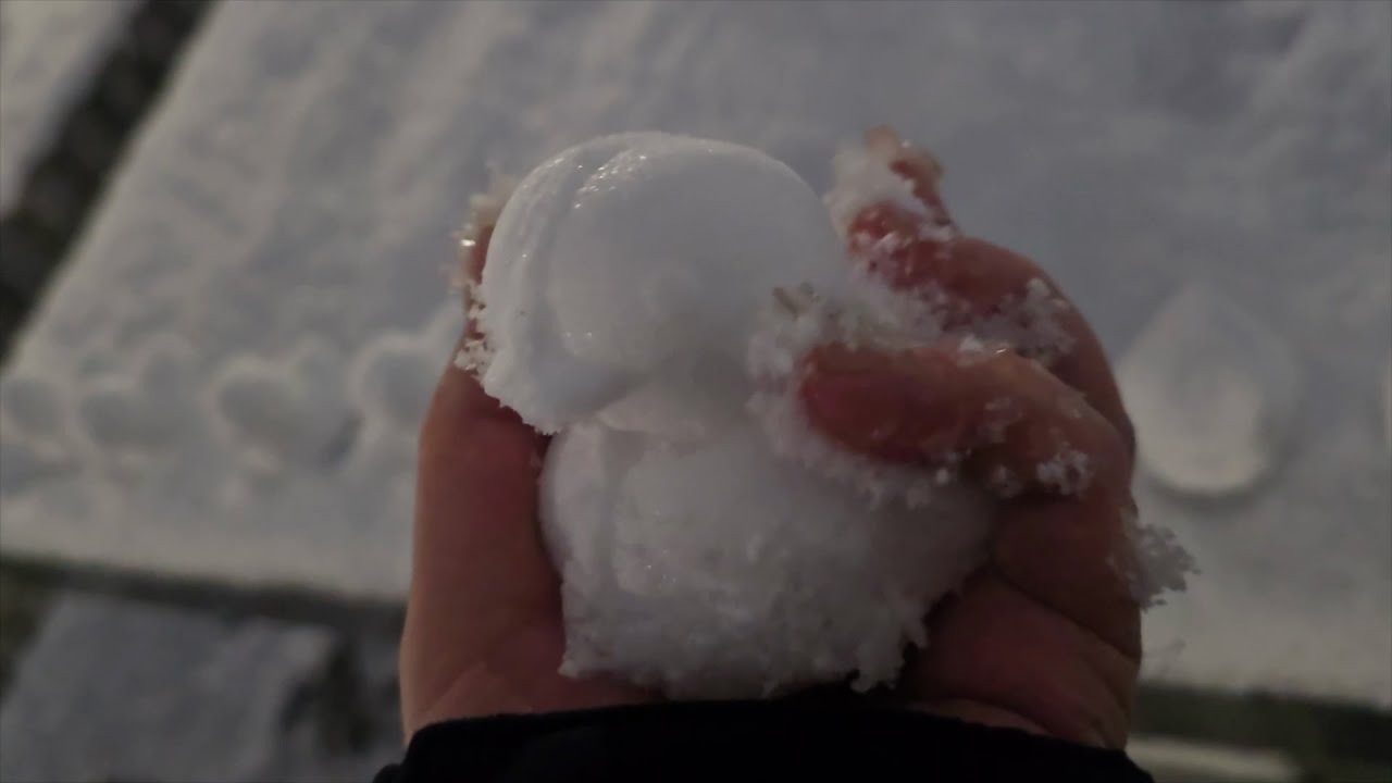 ASMR with Snow ❄️ | Outdoors Snowy ASMR | Crunchy Sounds, Walking, Tapping ❄️☃️