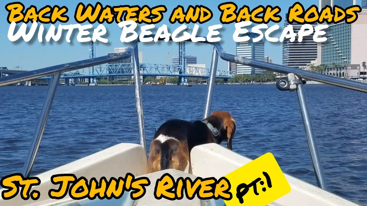 Ep:8 Winter Beagle Escape | St. John's River Finale | Part:1