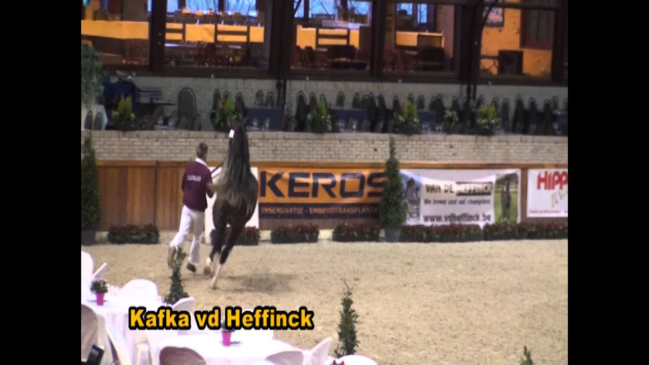Kafka vd Heffinck