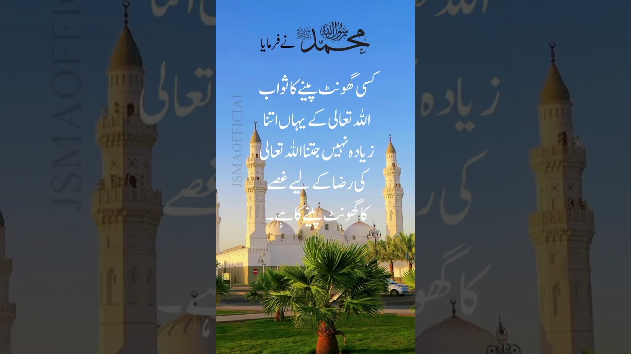 #islamicmusic #ringtone #aqwalzereen #islamicquotes #hazratmuhammadsaw #ytshortsvideo