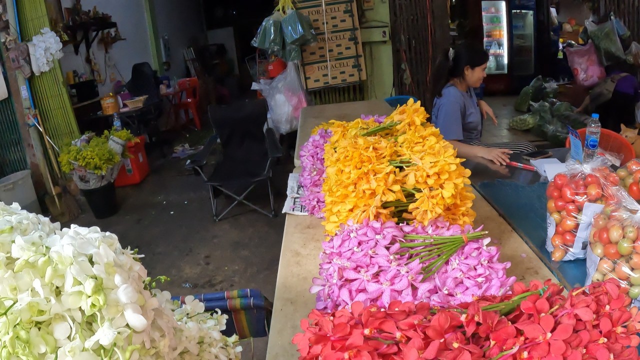 Valma Journeys | Bangkok’s ICP Flower Market – A Sea of Orchids,Roses & Lotus (4K Tour)