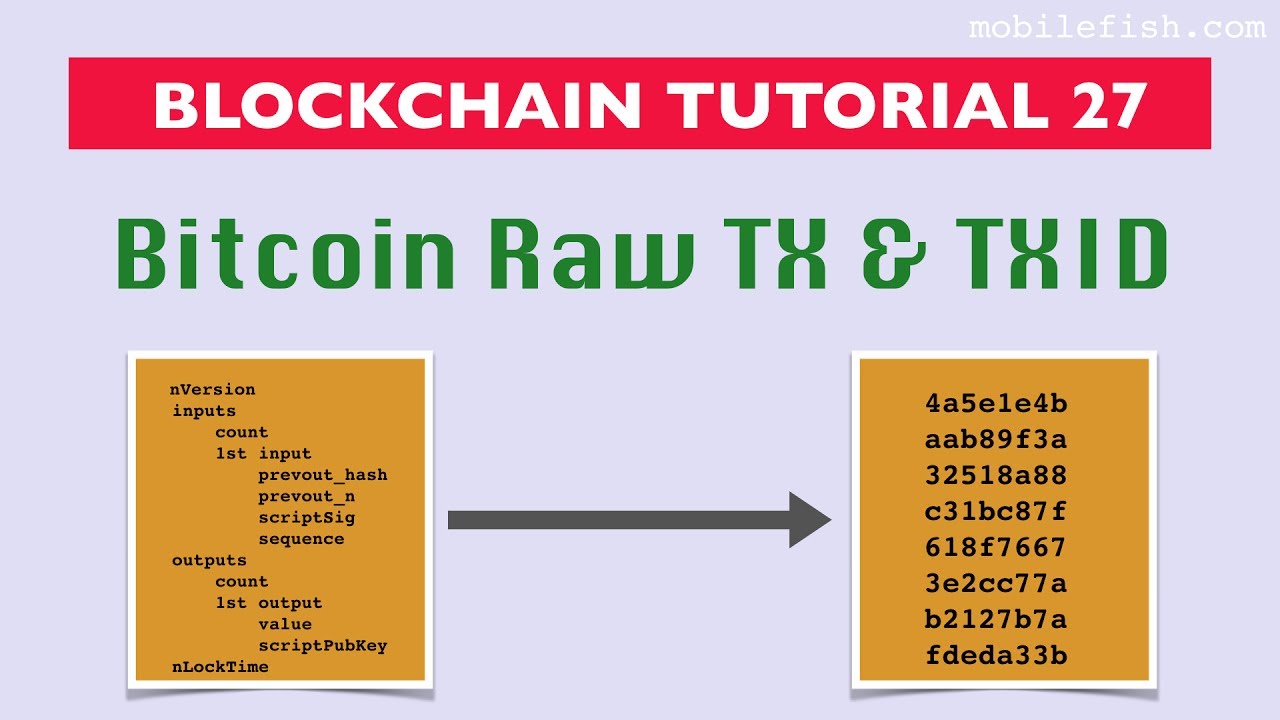 Урок по блокчейну 27: Необработанные данные транзакции Bitcoin и идентификатор транзакции