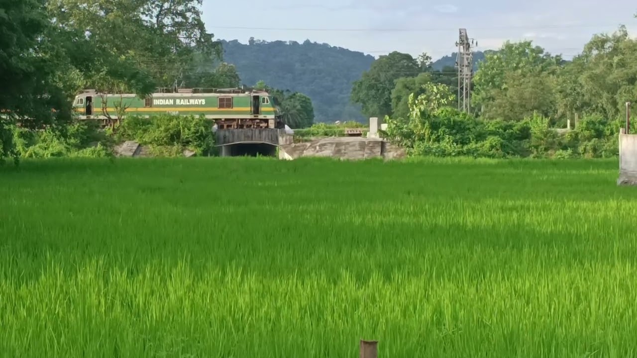 #green 