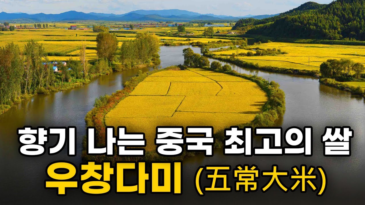 중국 최고의 쌀 우창다미(五常大米)