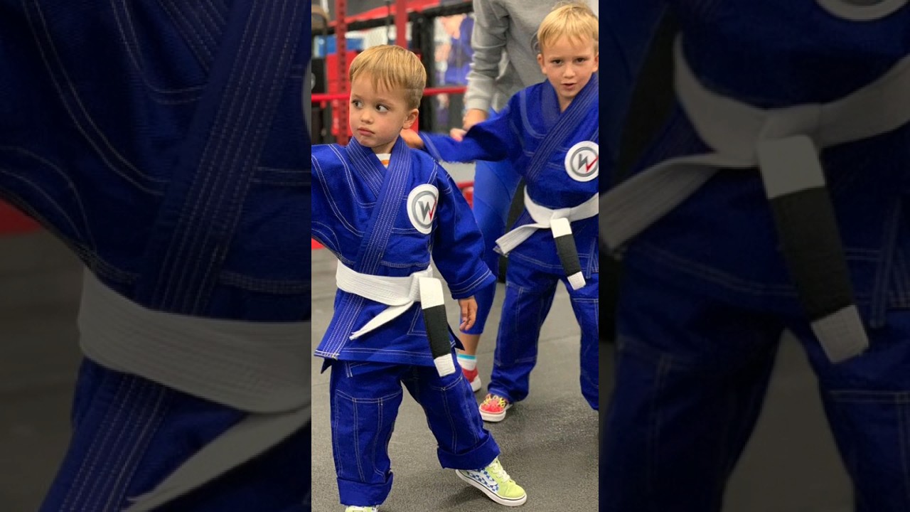 kung-fu karate vlad and niki ❤️😘 #viral #family #familypic #vladandniki #vlad #youtubestars #cute