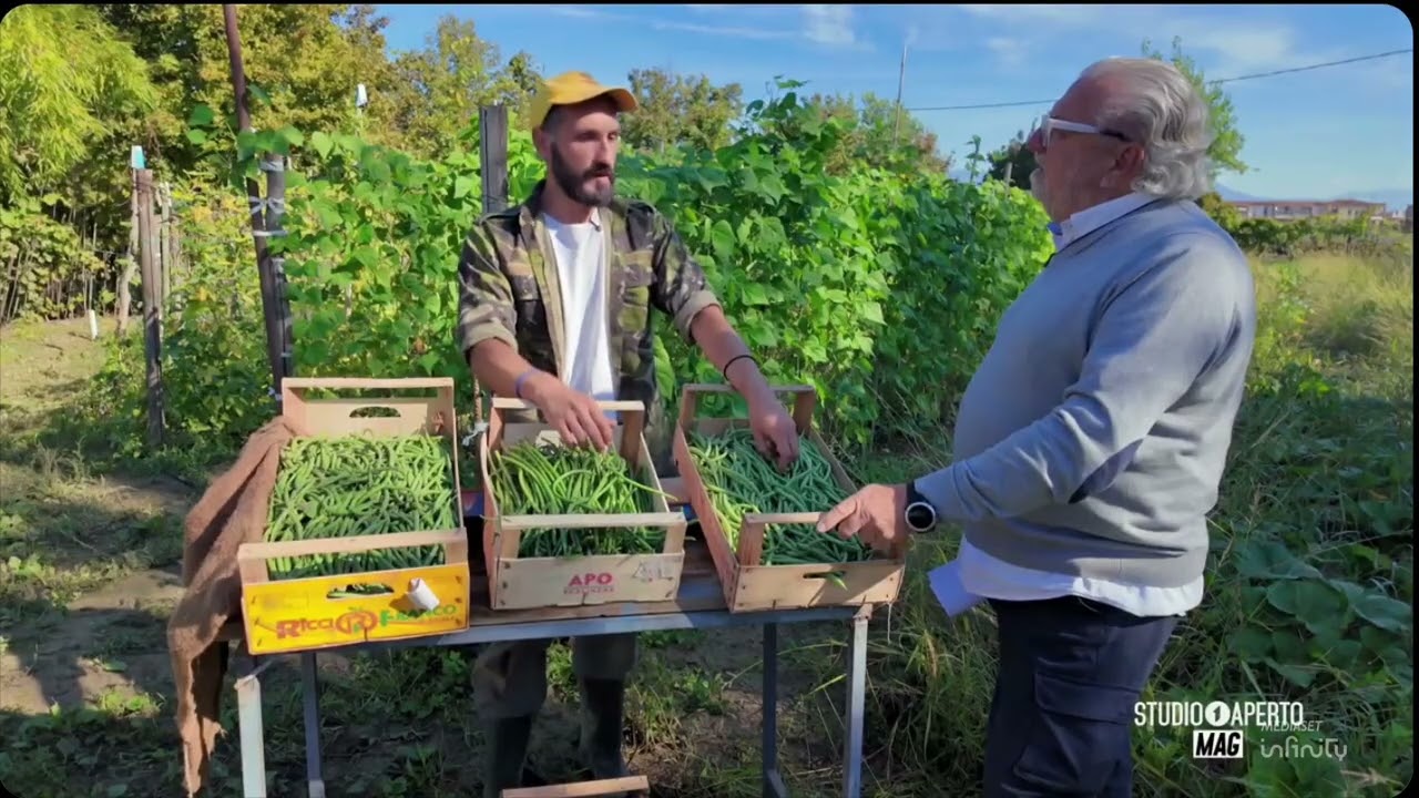 VERDURE: IL FAGIOLINO CHE NON "MORDE", LE VARIETA' TOSCANE