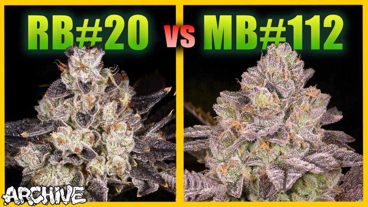 Comparing Rainbow Belts #20 to Moonbow #112