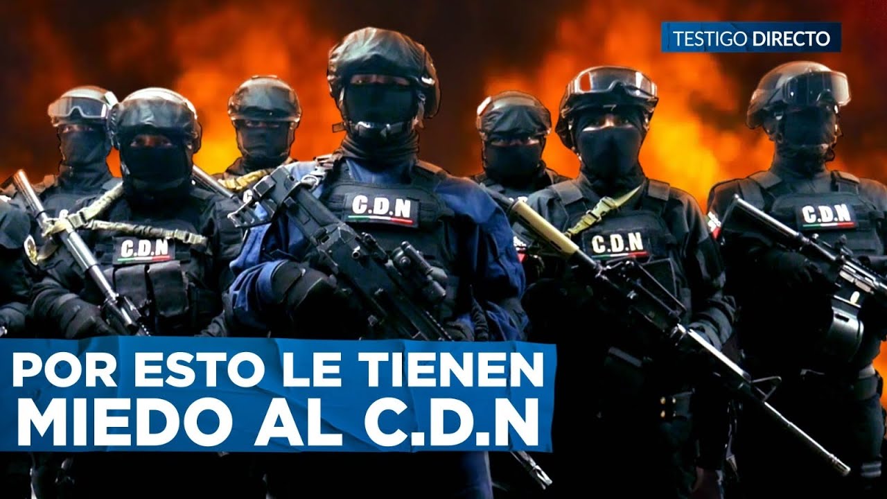 El PELIGROSO Cártel del NORESTE desata el CAOS tras la captura de Ricky: CJNG y CDS en la MIRA