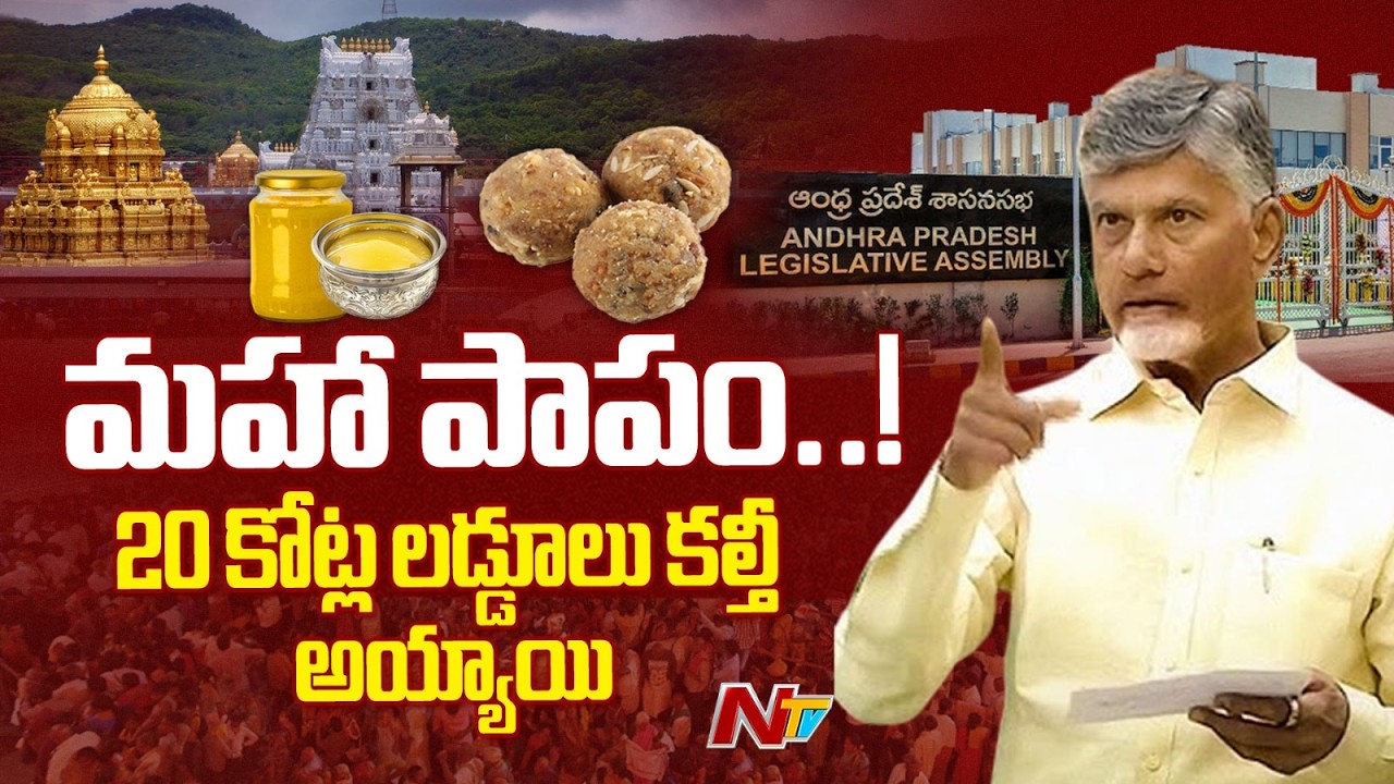 CM Chandrababu Full Speech in AP Assembly | NTV Telugu