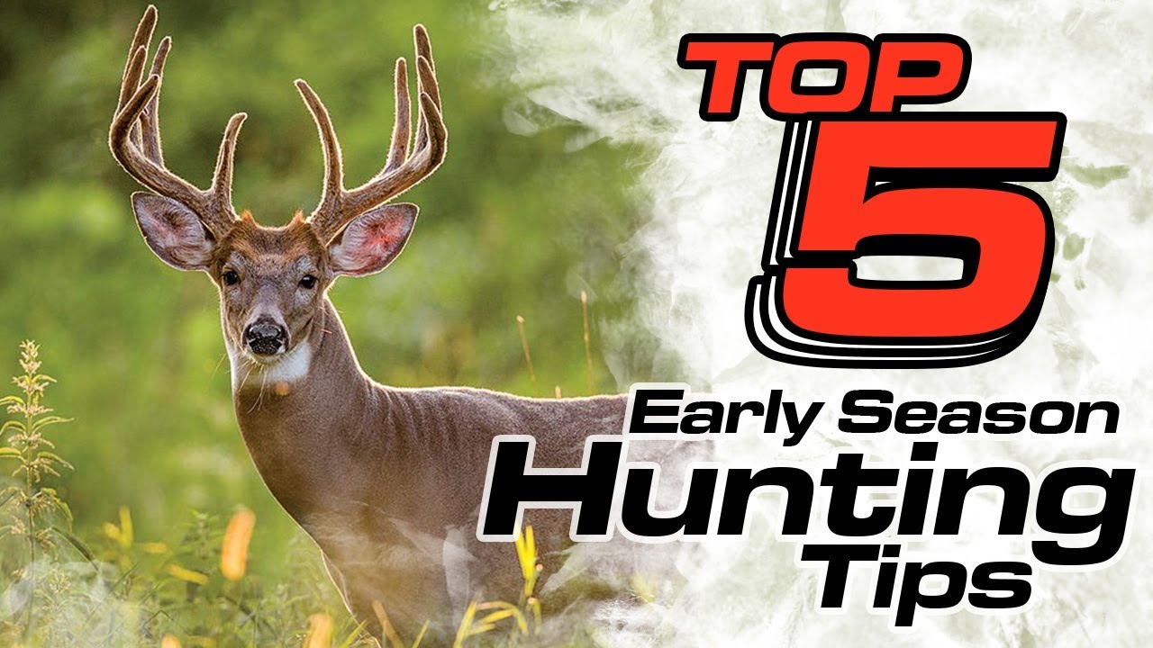 Top 5 Early Season Deer Hunting Tips-TideWe
