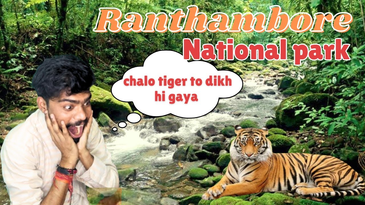 Ranthambore National Park Tour | Ranthambore National Park safari | Rajasthan Tourism