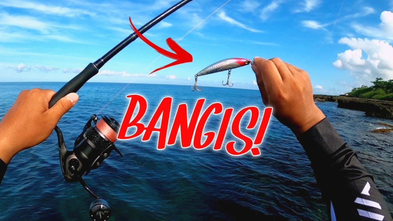 Bangis ng Red Head Sinking Minnow Lure | Big Game Fishing La Union