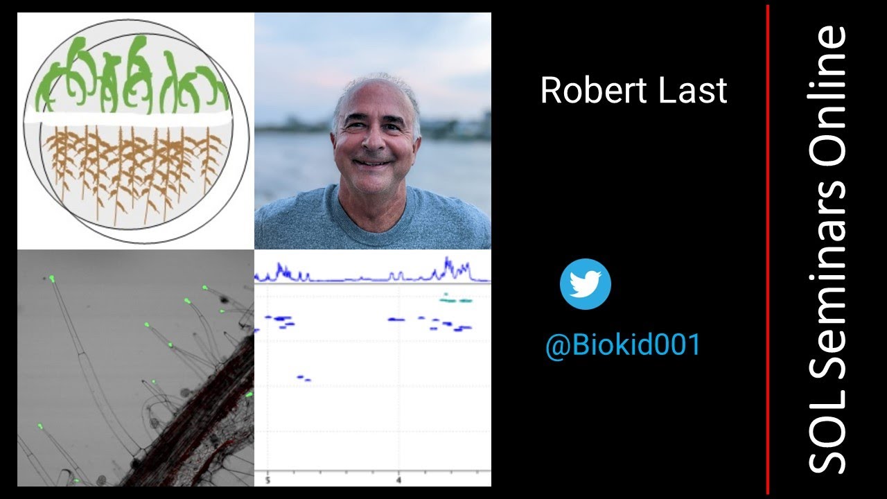 Robert Last - Evolution of metabolic diversity in tomato and its relatives