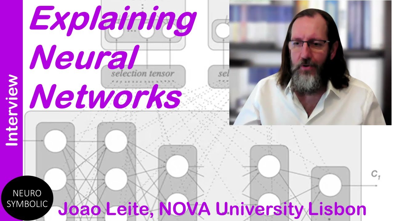 Explaining Neural Networks (Interview with Joao Leite, NOVA University Lisbon)