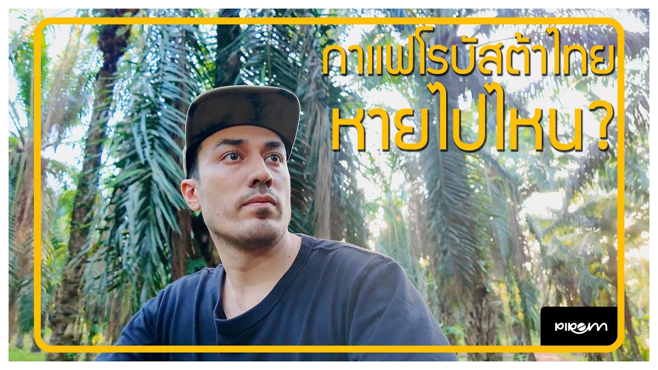 เดี๋ยวจะเล่าให้ฟัง : กาแฟโรบัสต้าไทย หายไปไหน?